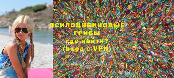 крисы Михайловск