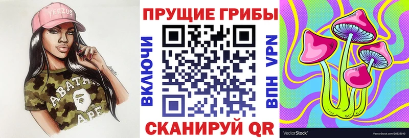 OMG как зайти  Южа  Псилоцибиновые грибы Magic Shrooms  где продают  